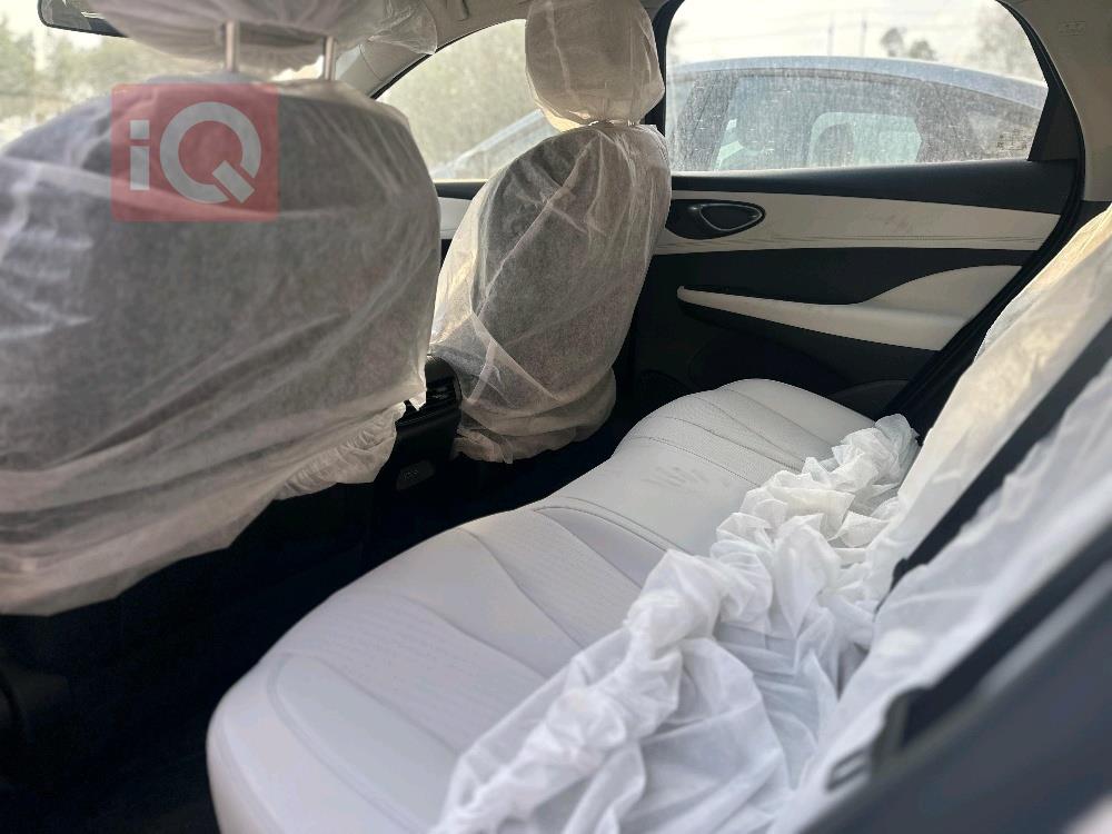 بي واي دي سيل 06 DM-i